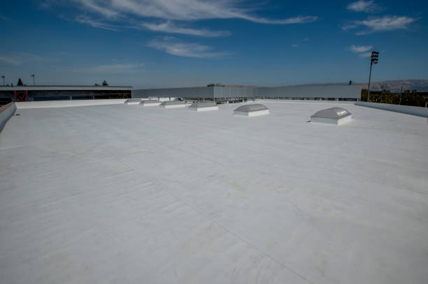 Best Metal Roofing Installation  in Christiana, TN