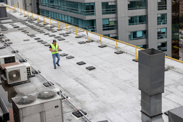 Professional Roofing Service in Christiana, TN